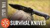 Vg10 Damascus Survival Outdoor Hunting Knife Fixed Blade Sankewood Full Tang